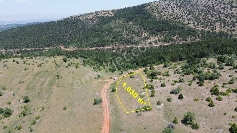 Konya / Ilgın / Gökçeyurt-özlem Mahallesinde 1.830 M² Müstakil Tapulu Tarla