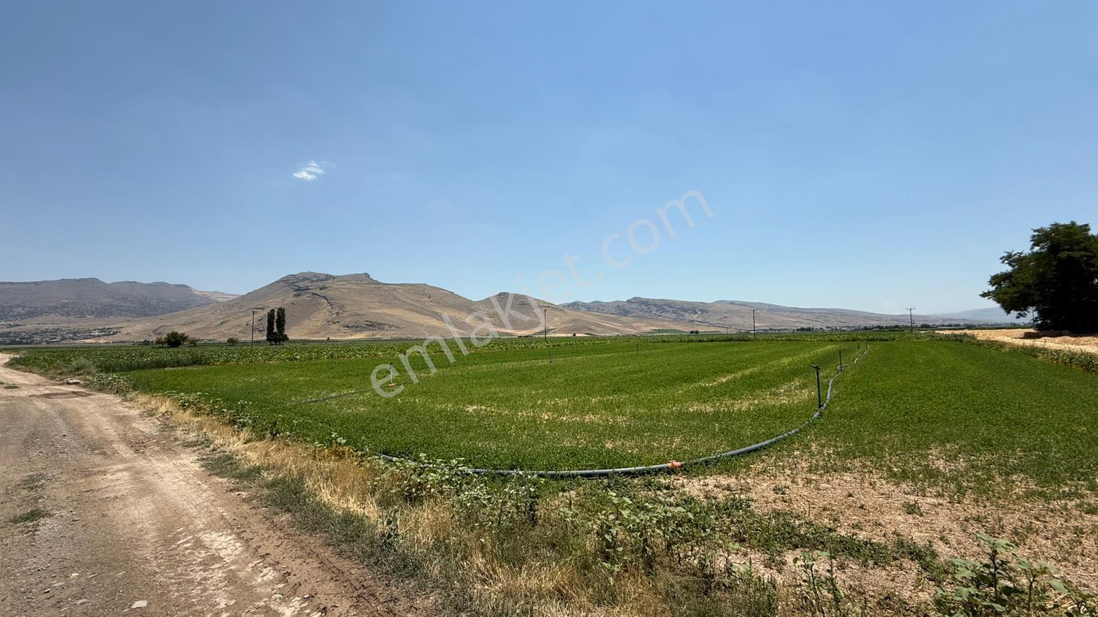 Öz Gaye Emlaktan Develi Zile Örentepe Mevkiinde Satılık Tarla - Görsel 4