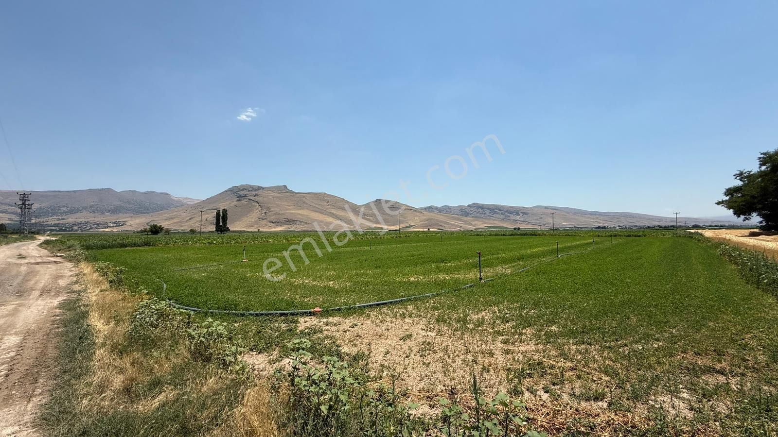 Öz Gaye Emlaktan Develi Zile Örentepe Mevkiinde Satılık Tarla