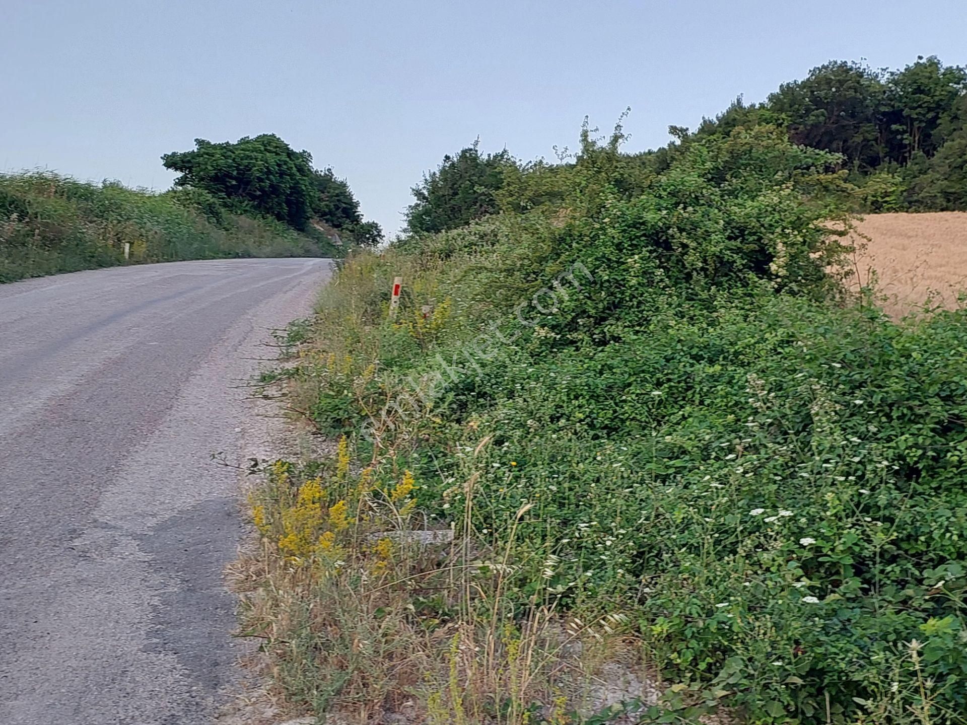 Bursa Karacabey Çamlıcada Anayola Yakın Satılık Yatırımlık 2000m2 Tarla - Görsel 7