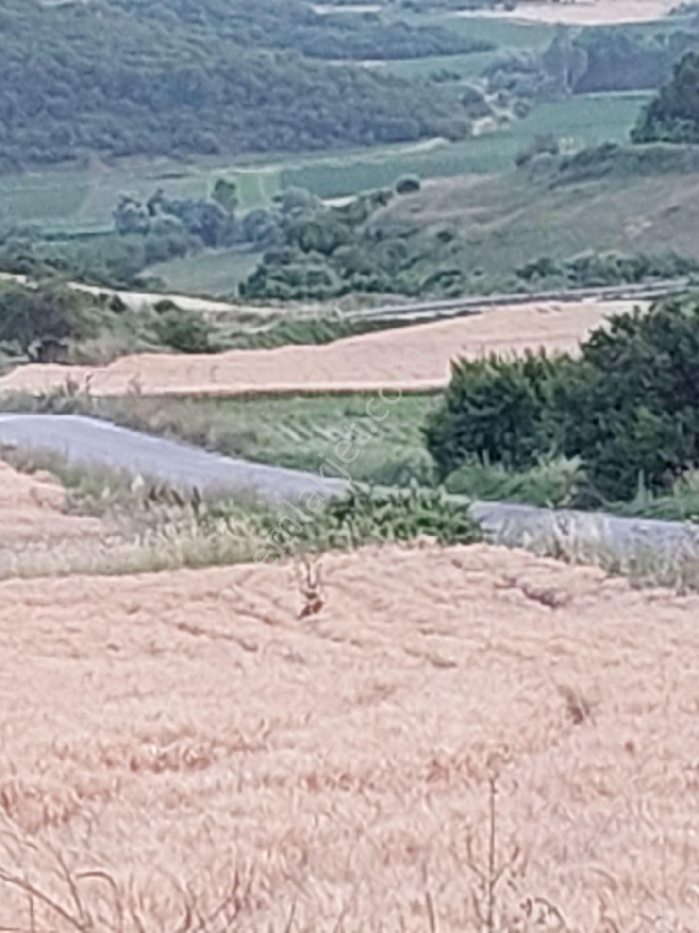 Bursa Karacabey Çamlıcada Anayola Yakın Satılık Yatırımlık 2000m2 Tarla - Görsel 9