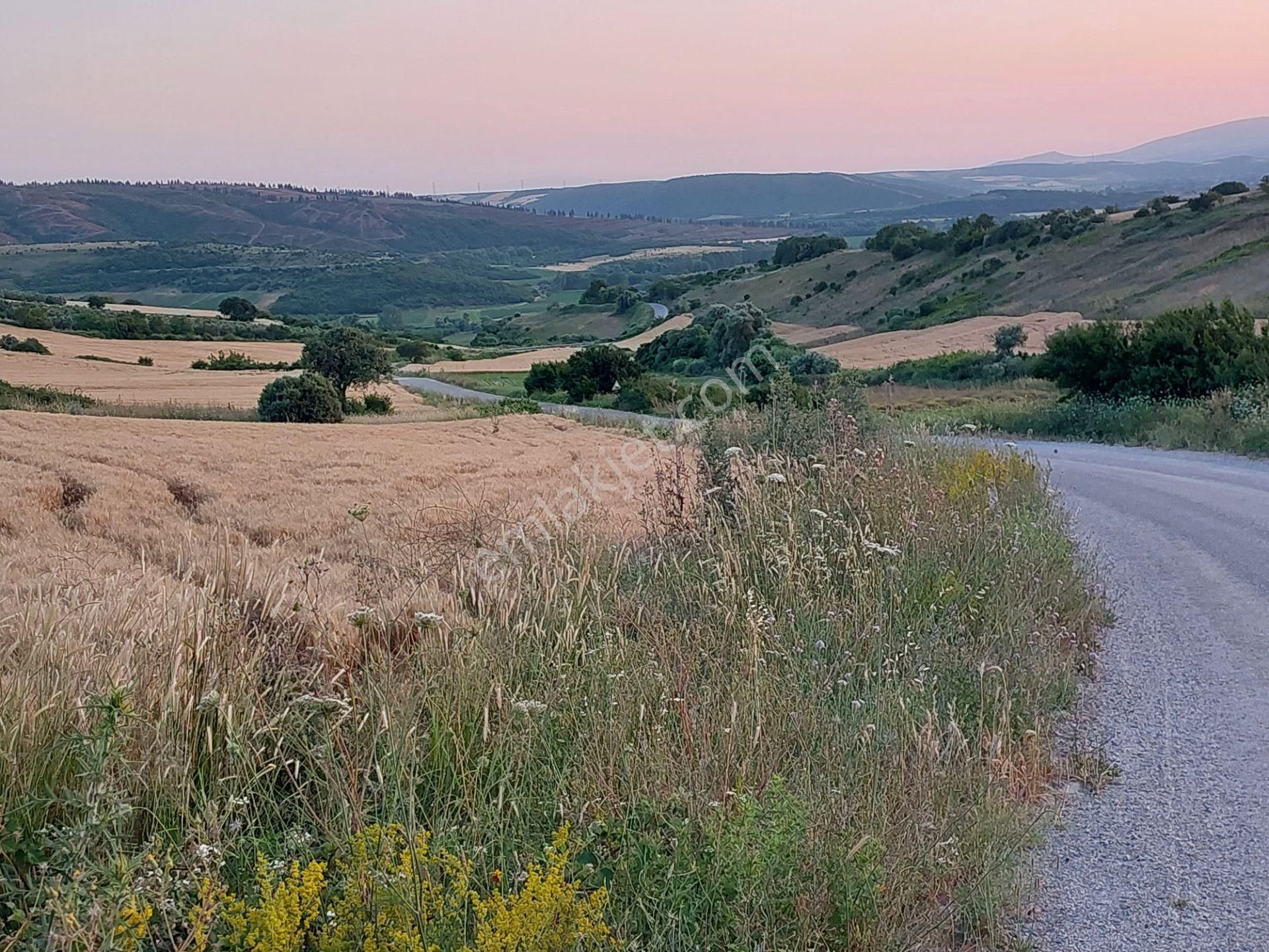 Bursa Karacabey Çamlıcada Anayola Yakın Satılık Yatırımlık 2000m2 Tarla - Görsel 5