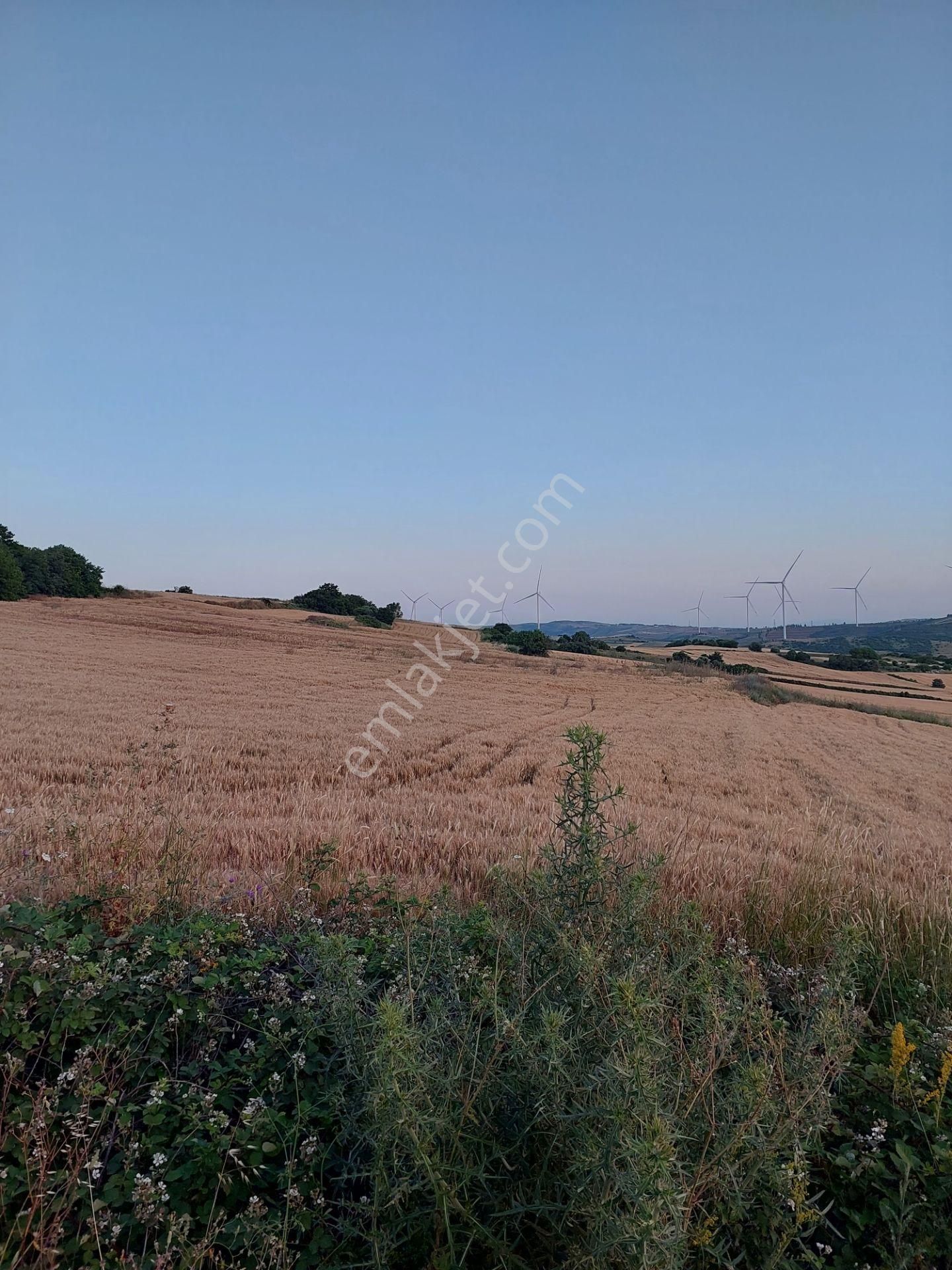 Bursa Karacabey Çamlıcada Anayola Yakın Satılık Yatırımlık 2000m2 Tarla - Görsel 12