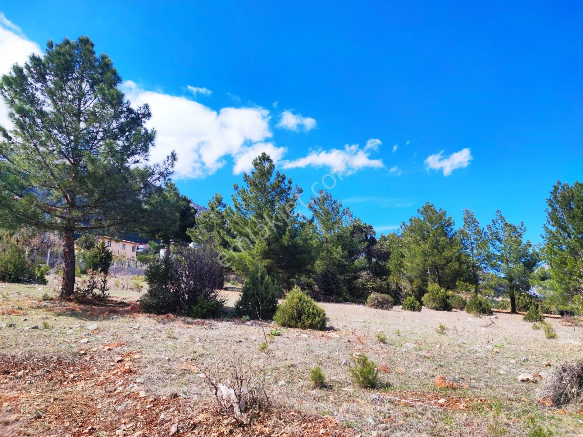 Pozantı Kar Emlaktan Yeni Konacık Efes Sitesi Altında Doğa Manzaralı 330 M2 Satılık Arsa - Görsel 5