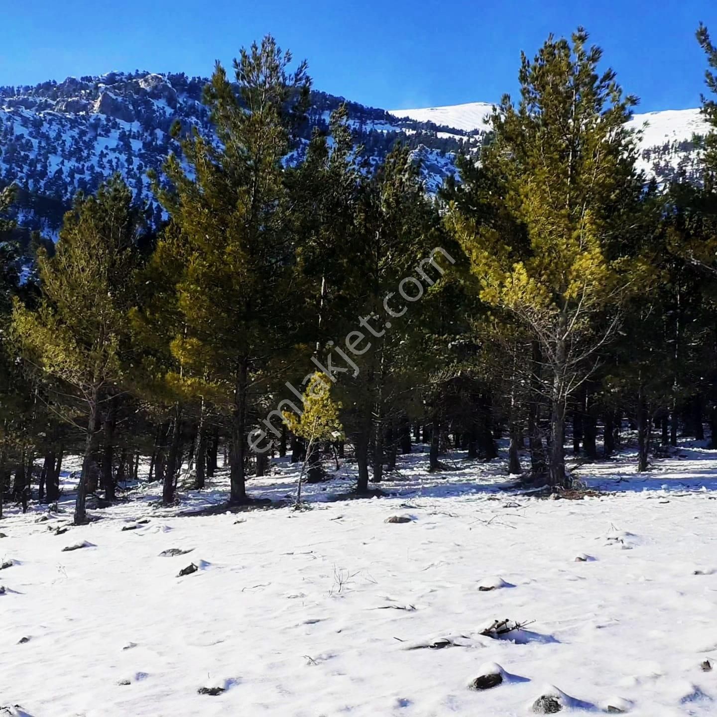 Pozantı Kar Emlaktan Yeni Konacık Efes Sitesi Üzerinde Doğa Manzaralı Satılık 400 M2 Arsa - Görsel 16