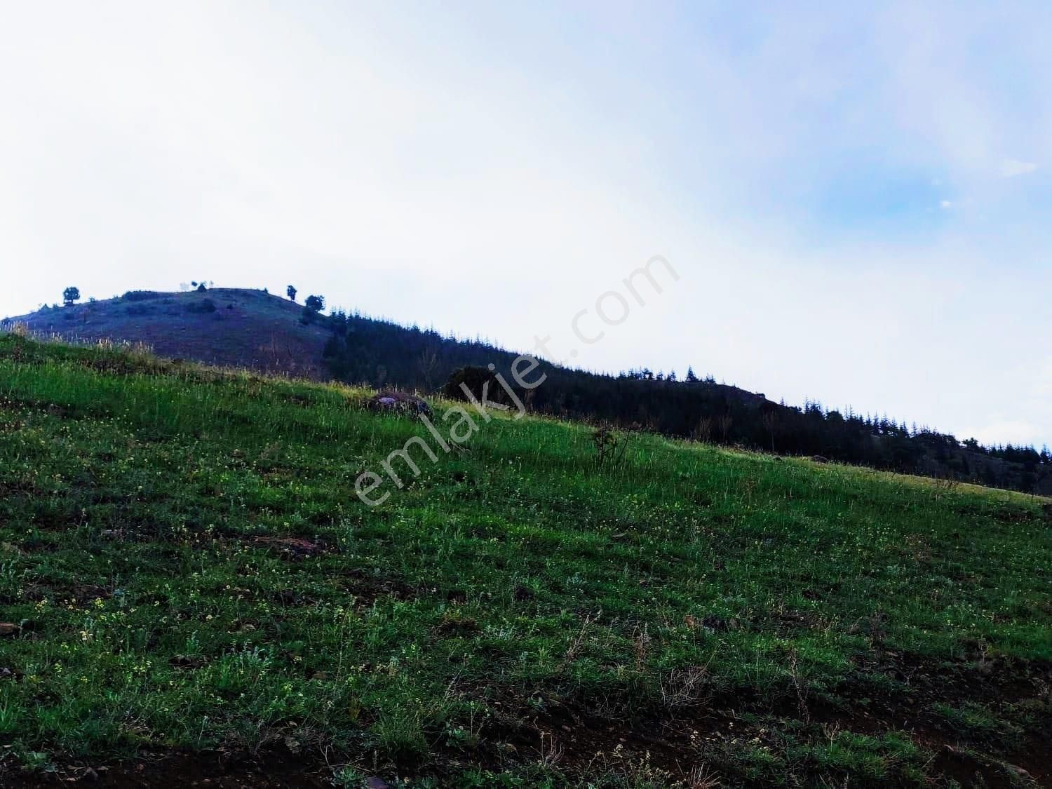 Pozantı Kar Emlaktan Yazıcak Mahallesinde 500 M2 Doğa Manzaralı Arsa - Görsel 6