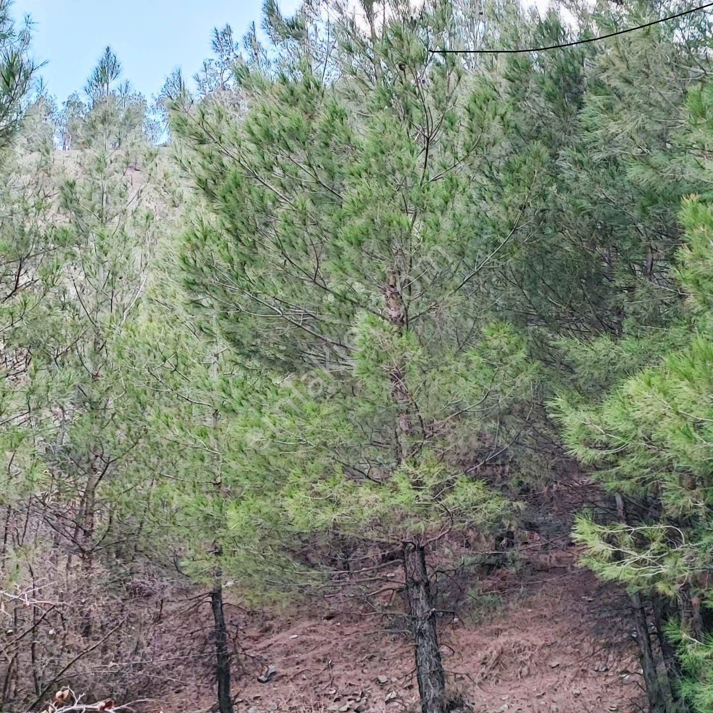 Akçatekir Kar Emlaktan İstiklal Mahallesinde 3 Kata İmarlı İfrazlı 265 M2 Arsa