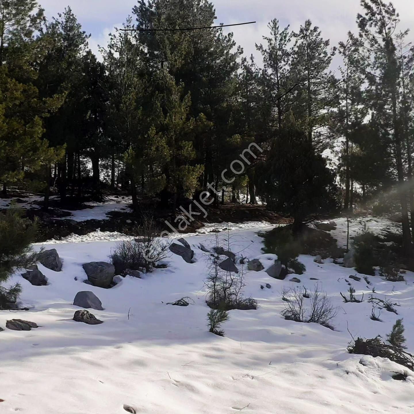 Pozantı Kar Emlaktan Gökbez Yaylasında 400 M2 İmarlı İfrazlı Doğa Manzaralı Arsa - Görsel 5