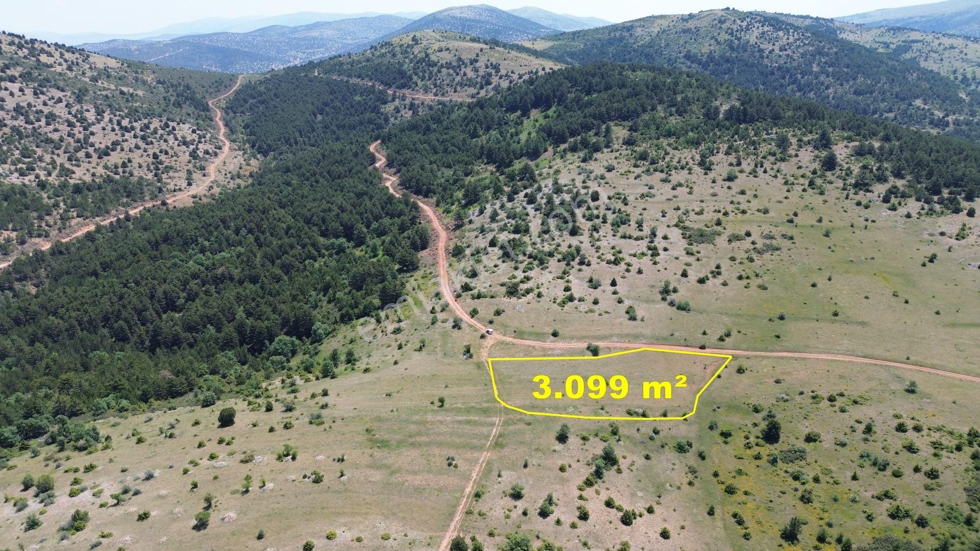 Konya / Ilgın / Gökçeyurt-gümüş Mahallesinde 3.099 M² Müstakil Tapulu Tarla
