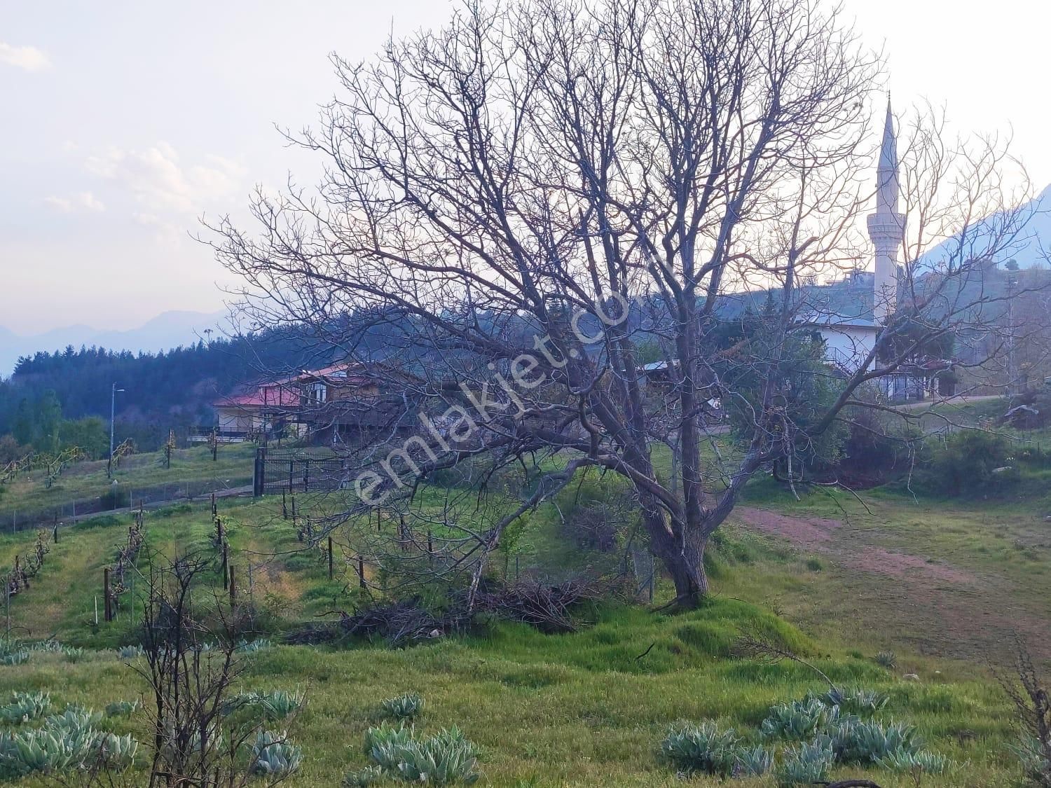 Pozantı Kar Emlaktan Fındıklı Yaylası Doğa Manzaralı İmarlı İfrazlı 1500 M2 Arsa - Görsel 9