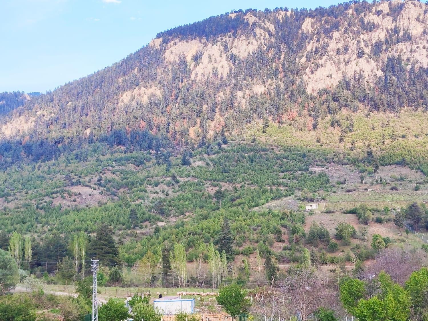 Pozantı Kar Emlaktan Fındıklı Yaylası Doğa Manzaralı İmarlı İfrazlı 1500 M2 Arsa - Görsel 12