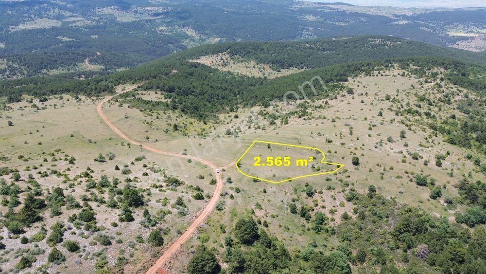Konya / Ilgın / Gökçeyurt-gümüş Mahallesinde 2.565 M² Müstakil Tapulu Tarla