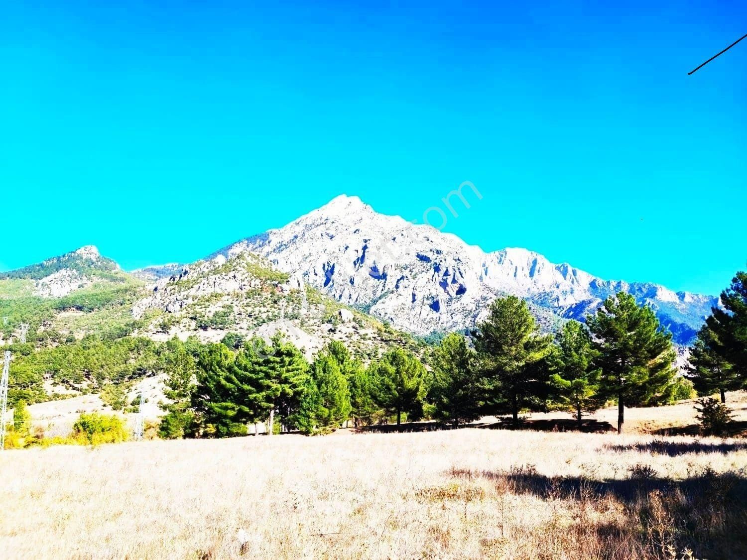 Pozantı Kar Emlaktan Eski Konacık Doğa Manzaralı İmarlı İfrazlı Satılık Yaylalık 500 M2 Arsa