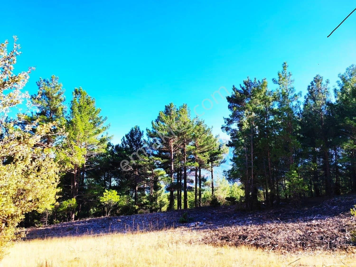 Pozantı Kar Emlaktan Eski Konacık Doğa Manzaralı İmarlı İfrazlı Satılık Yaylalık 500 M2 Arsa - Görsel 2