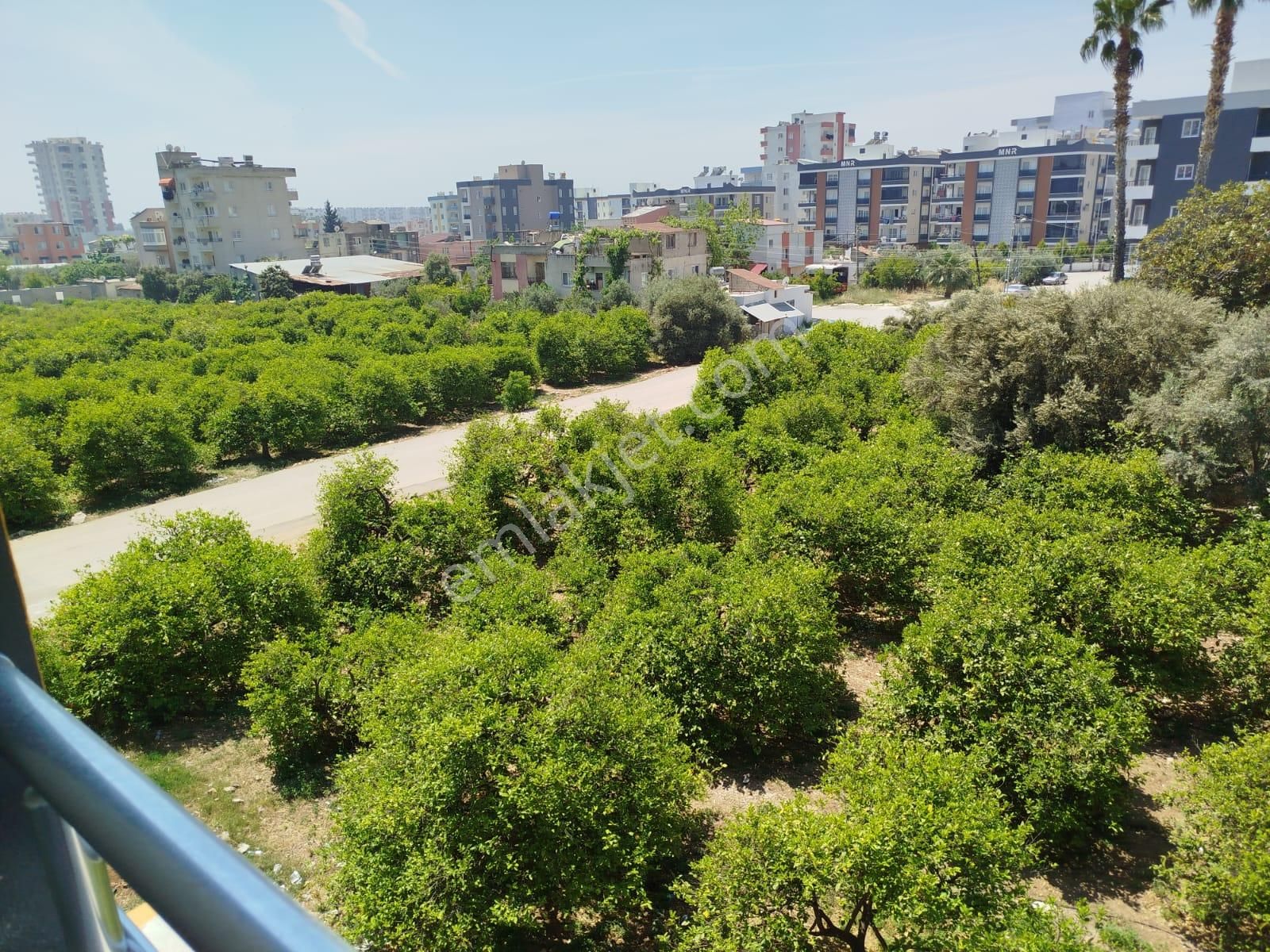 Kiralık 1+1 Daire Erdemli Mersin - Görsel 19