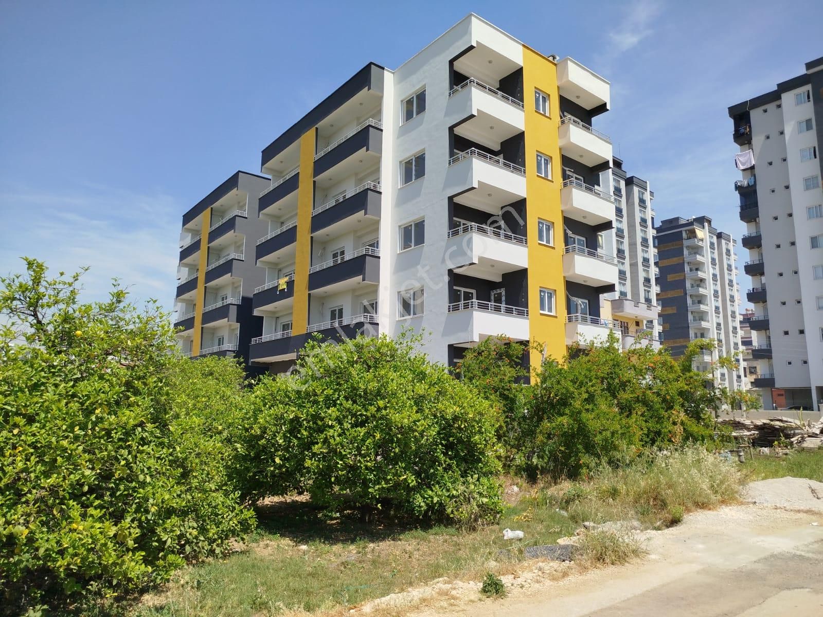 Kiralık 1+1 Daire Erdemli Mersin - Görsel 2