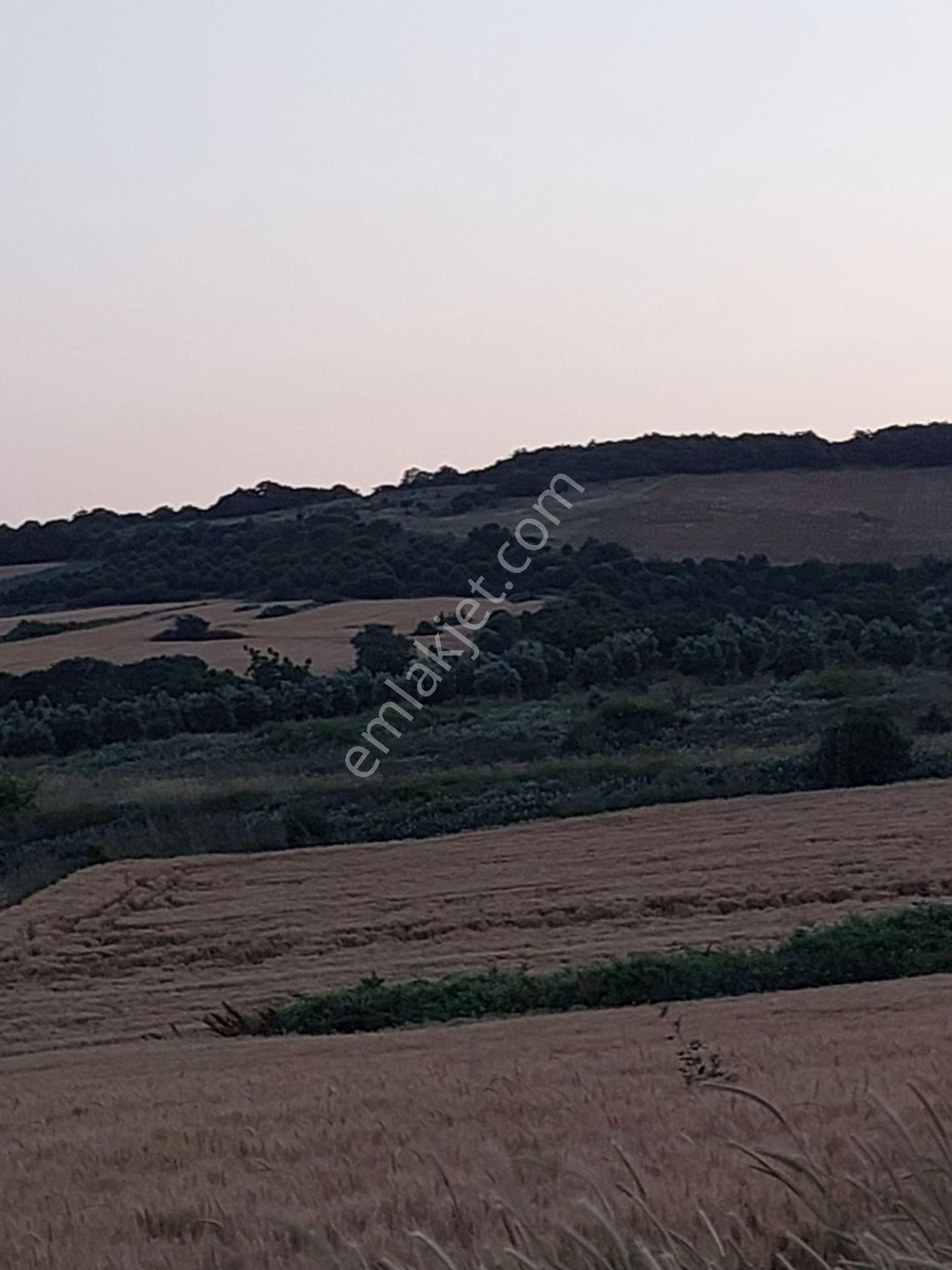 Bursa Karacabey Çamlıcada Anayola Yakın Satılık Yatırımlık 7300m2 Tarla - Görsel 15