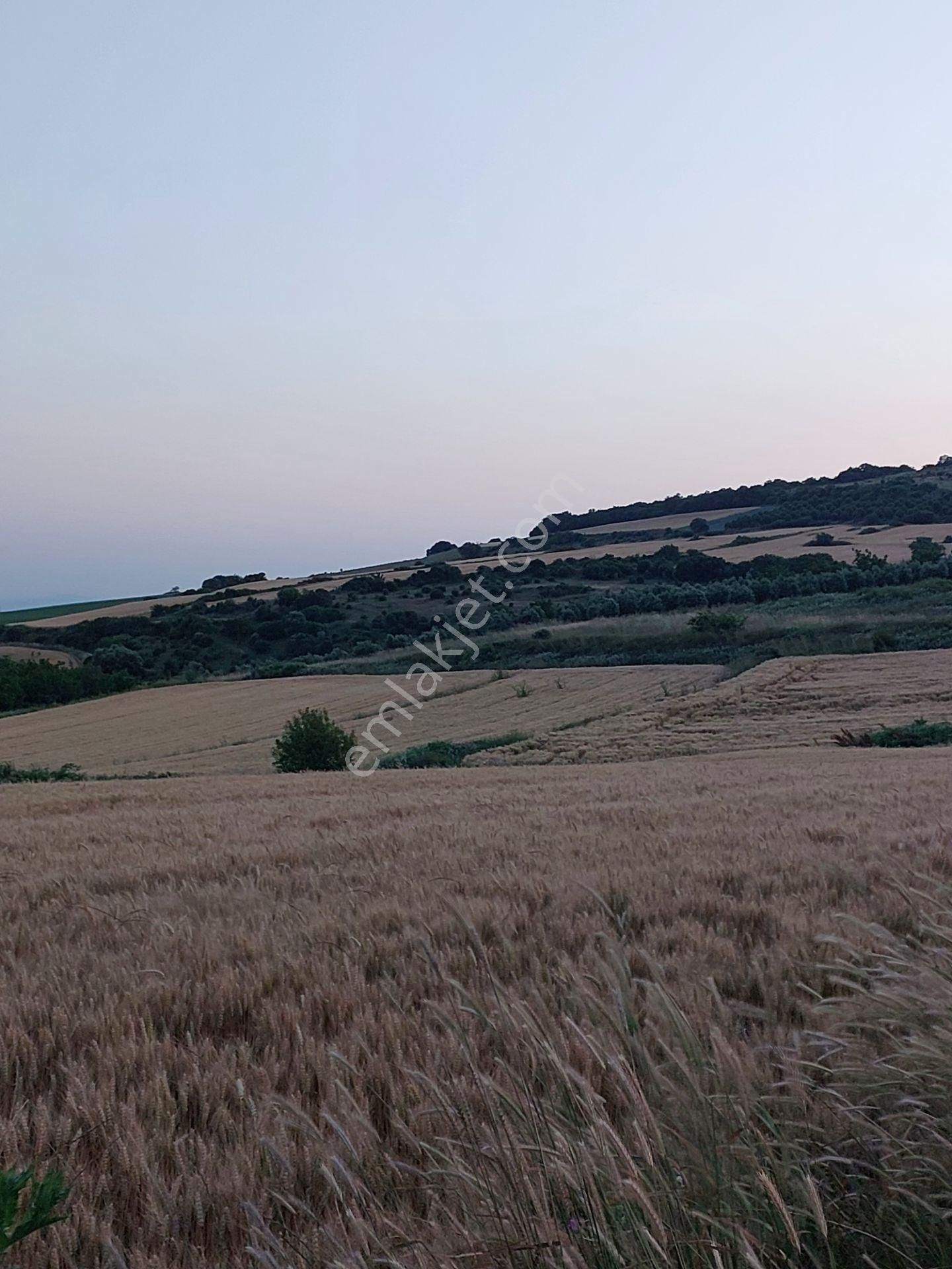 Bursa Karacabey Çamlıcada Anayola Yakın Satılık Yatırımlık 7300m2 Tarla - Görsel 10