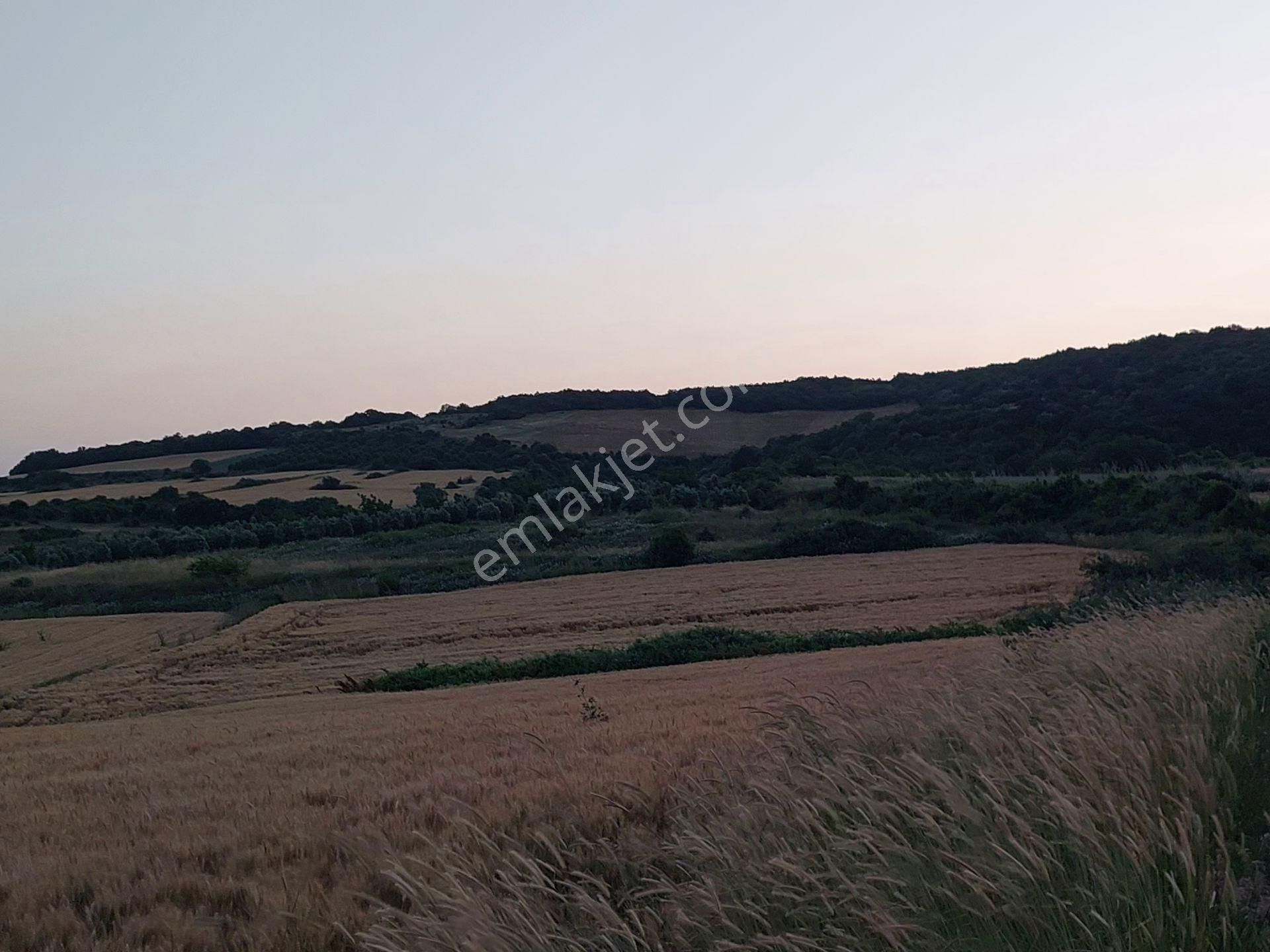 Bursa Karacabey Çamlıcada Anayola Yakın Satılık Yatırımlık 7300m2 Tarla - Görsel 25