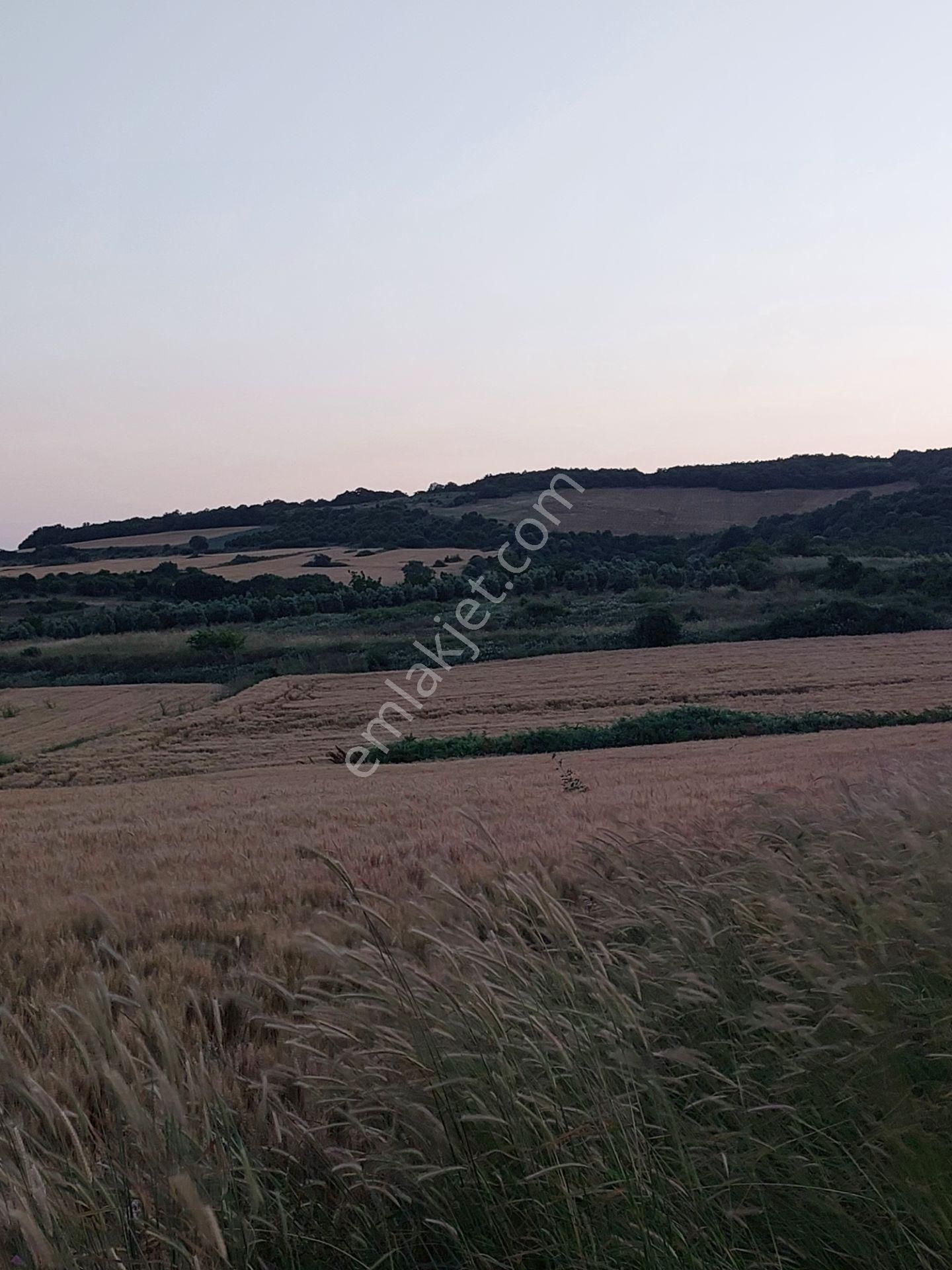 Bursa Karacabey Çamlıcada Anayola Yakın Satılık Yatırımlık 7300m2 Tarla - Görsel 12