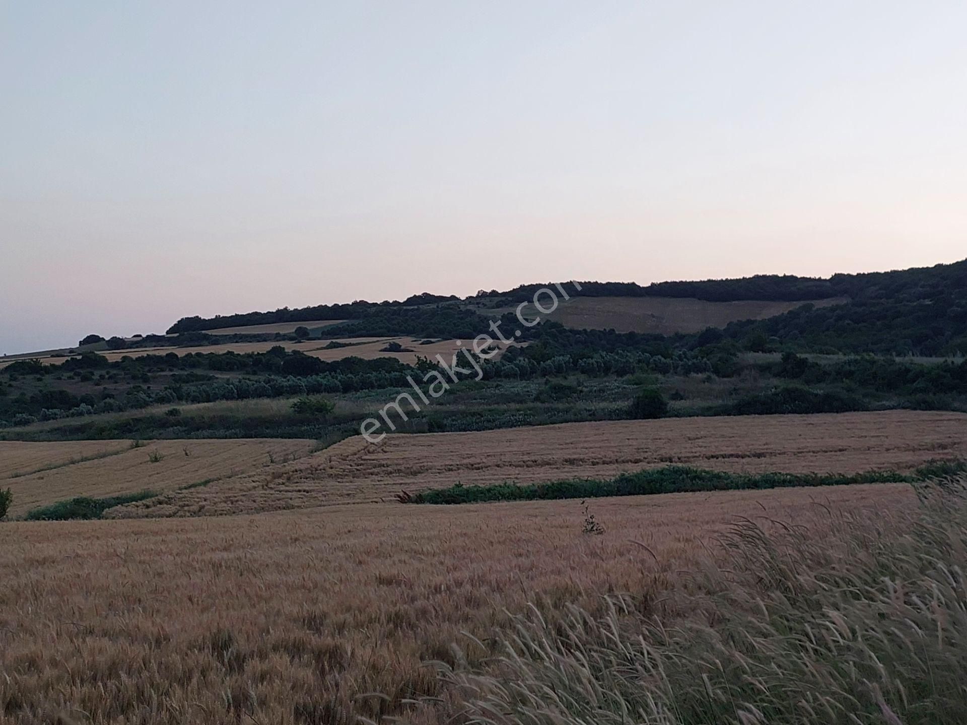 Bursa Karacabey Çamlıcada Anayola Yakın Satılık Yatırımlık 7300m2 Tarla - Görsel 23