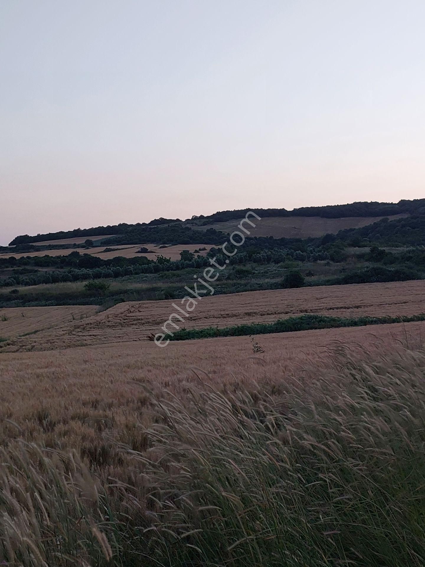 Bursa Karacabey Çamlıcada Anayola Yakın Satılık Yatırımlık 7300m2 Tarla - Görsel 13