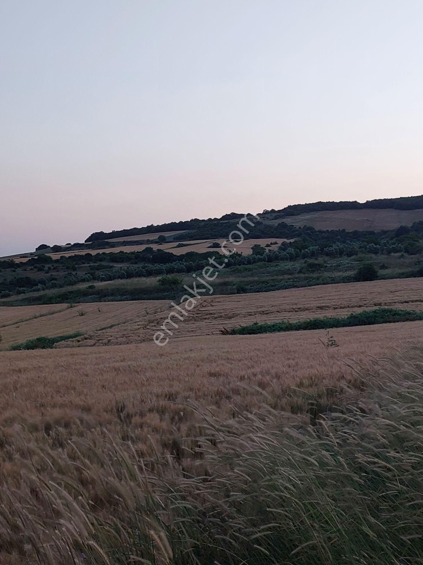 Bursa Karacabey Çamlıcada Anayola Yakın Satılık Yatırımlık 7300m2 Tarla - Görsel 11