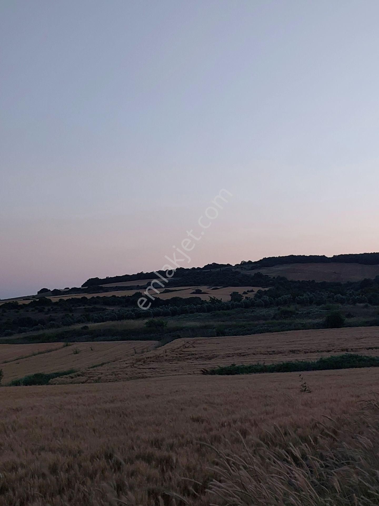 Bursa Karacabey Çamlıcada Anayola Yakın Satılık Yatırımlık 7300m2 Tarla - Görsel 21