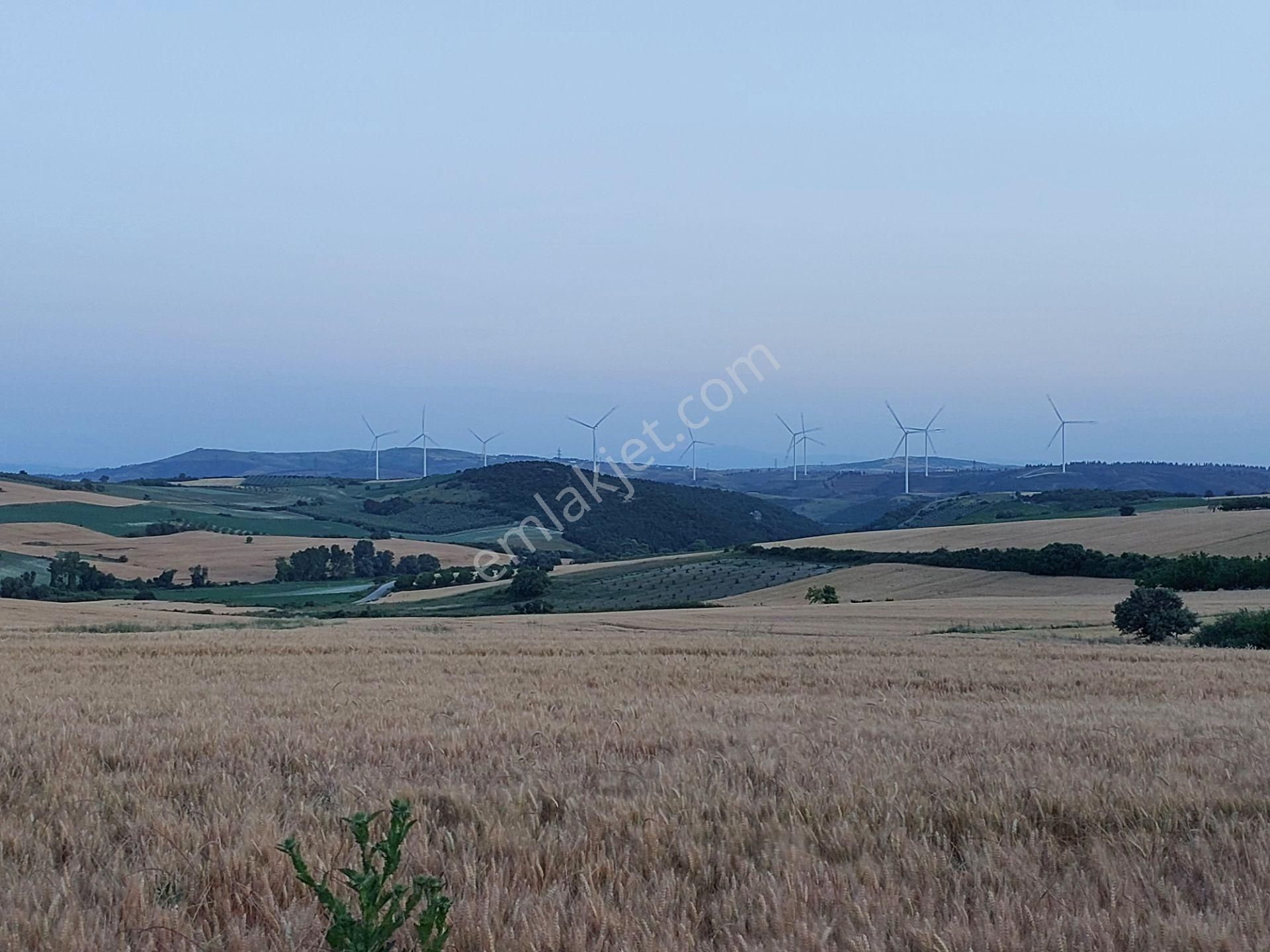 Bursa Karacabey Çamlıcada Anayola Yakın Satılık Yatırımlık 7300m2 Tarla - Görsel 2