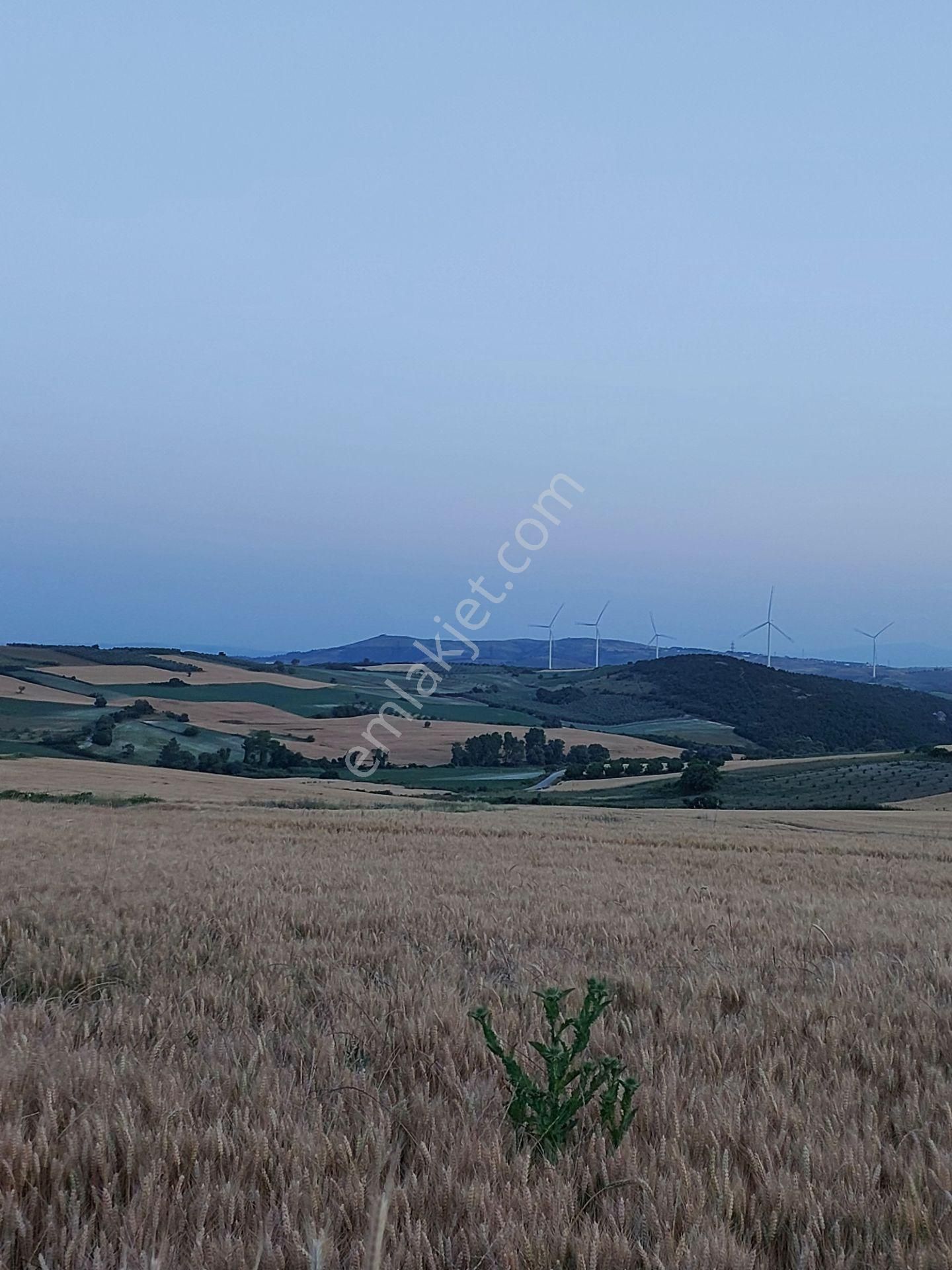 Bursa Karacabey Çamlıcada Anayola Yakın Satılık Yatırımlık 7300m2 Tarla - Görsel 6