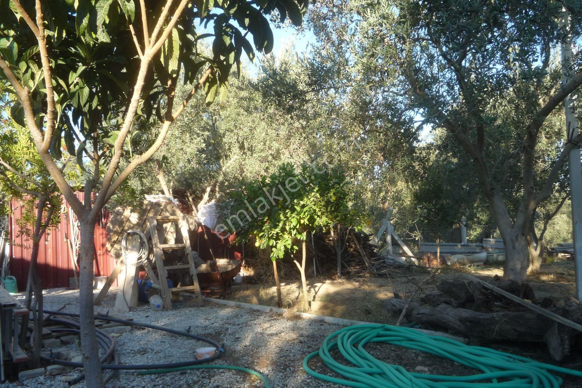 İzmir Torbalı Gold Emlaktan Satılık Harika Bahçeli Ev - Görsel 13