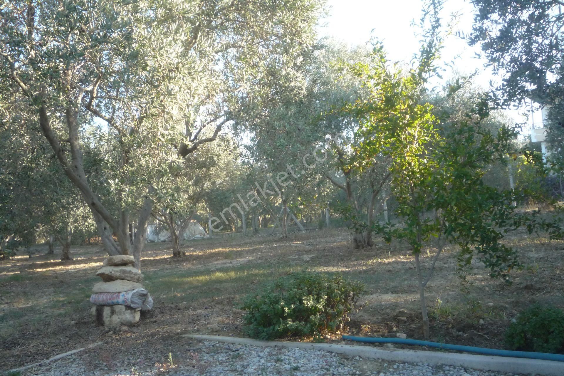 İzmir Torbalı Gold Emlaktan Satılık Harika Bahçeli Ev - Görsel 12