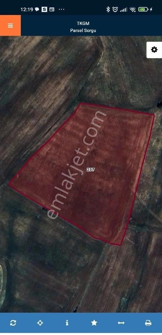 Satılık Adakent Emlak Dan Şaricam Akkuyunun En Güzel Yerinde Satlik Uygun Fiyata Hisseli Tarla