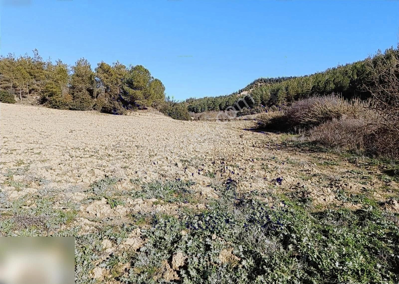 Satılık Akkuyu'da Her Bütçeye Uygun Geleceğe Yatırım Arsalar