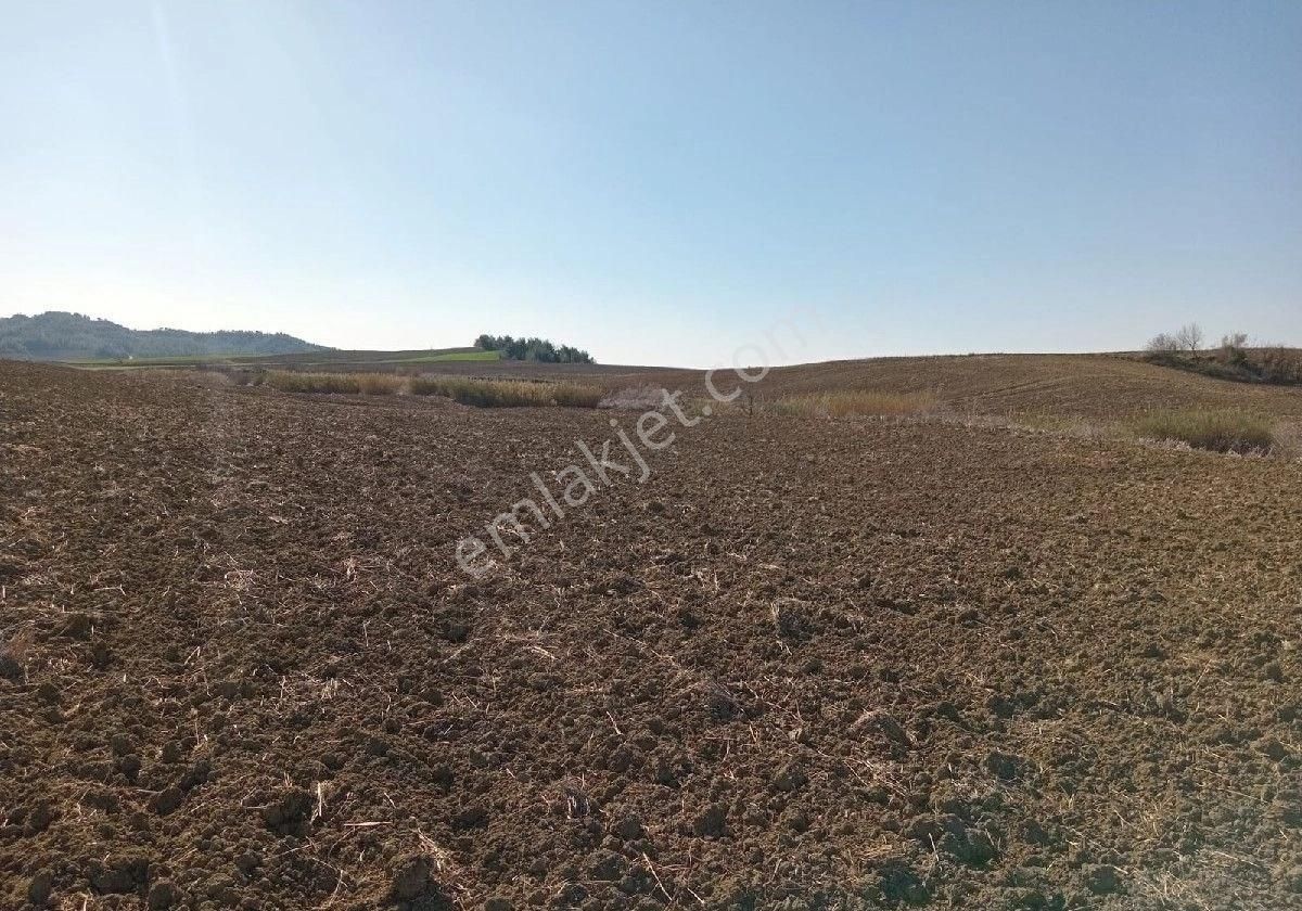 Adakent Emlakdan Adana Sariçam Akkuyu Köyünde İmara Girecek Tarlamiz Satlik Tir - Görsel 4
