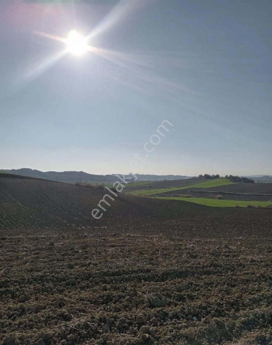 Adakent Emlakdan Adana Sariçam Akkuyu Köyünde İmara Girecek Tarlamiz Satlik Tir - Görsel 2