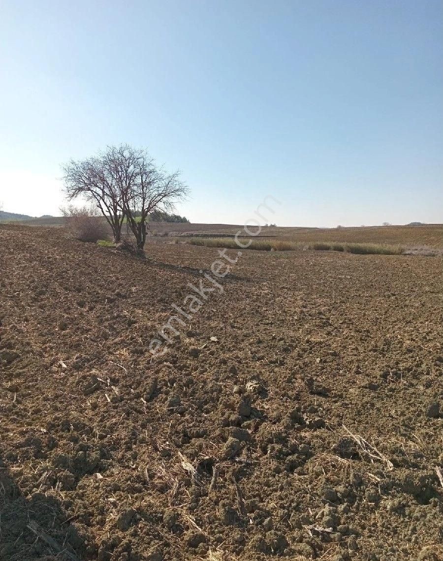 Adakent Emlakdan Adana Sariçam Akkuyu Köyünde İmara Girecek Tarlamiz Satlik Tir