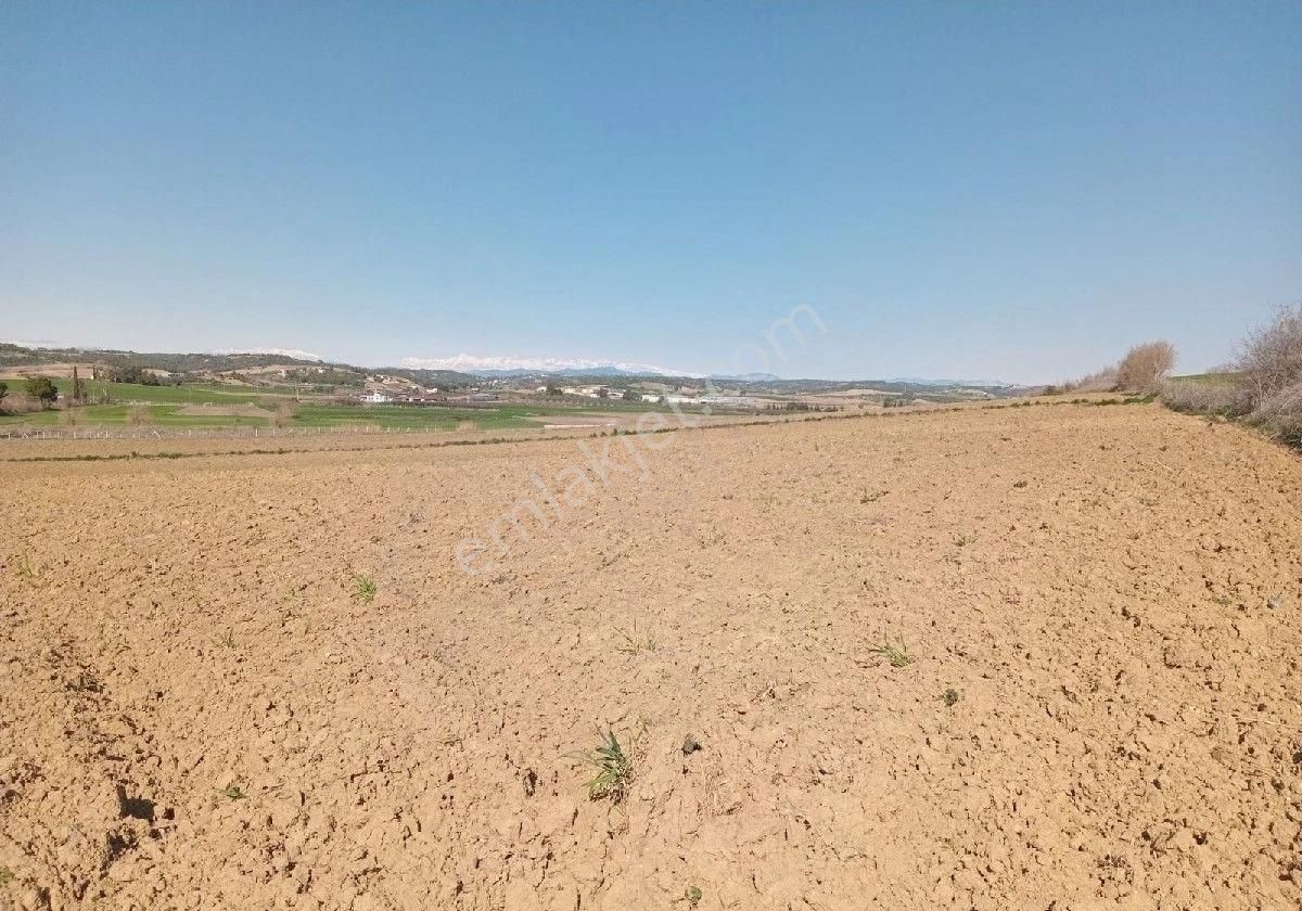 Adana Sarıçam Akkuyu Köyünde İnanılmaz Uygun Fiyatlarla Her Bütçeye Uygun Arsalarımiz Mevcuttur - Görsel 6
