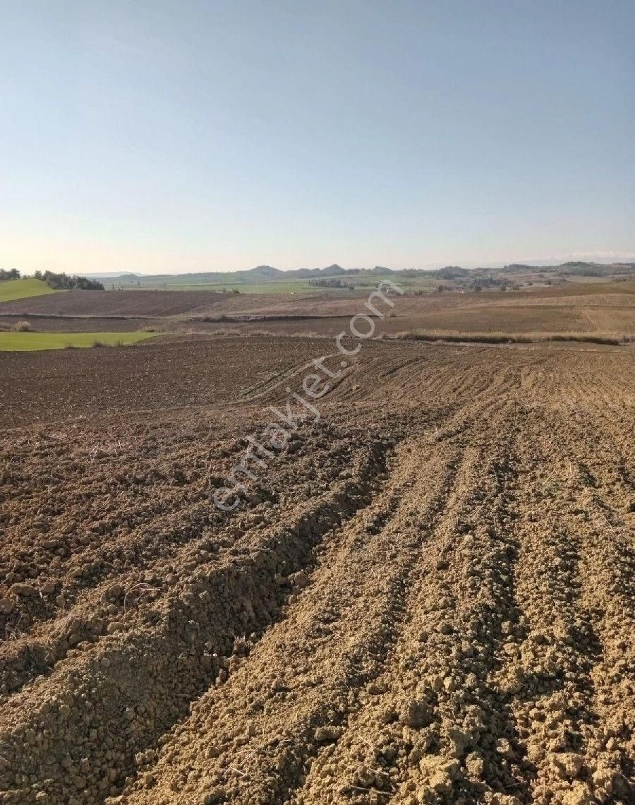 Adana Sariçam Akkuyu Köyünde İmara Girecek Hisseli Tarlamiz Satliktir Adana Şehir Stadyumuna 4 Km Dr - Görsel 3