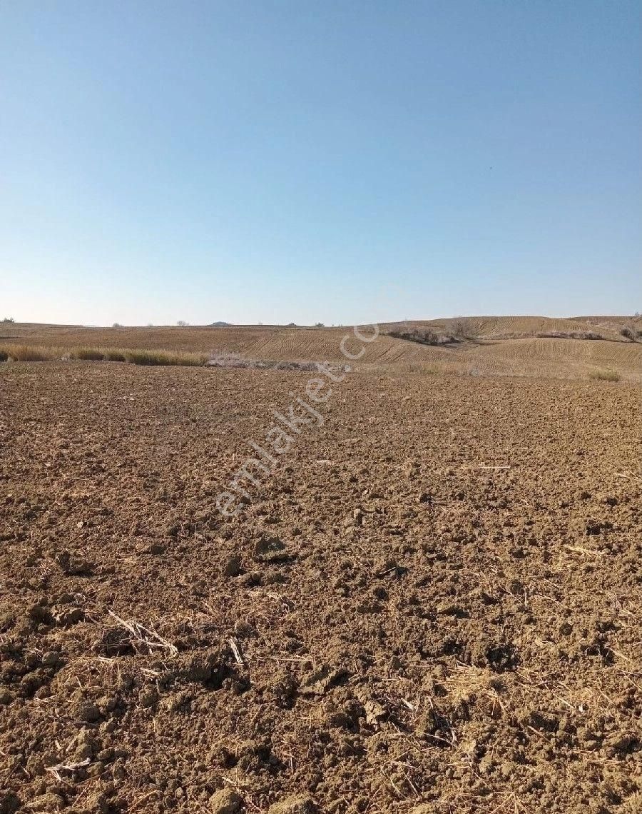 Adana Sariçam Akkuyu Köyünde İmara Girecek Hisseli Tarlamiz Satliktir Adana Şehir Stadyumuna 4 Km Dr - Görsel 5