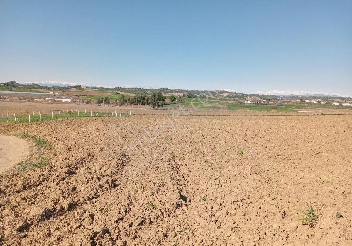 Adana Akkuyu Da Her Bütçeye Uygun Tarlalarimiz Mevcuttur Emlak Komisyonu Yoktur Arazi Bizimdir Kaçır - Görsel 3