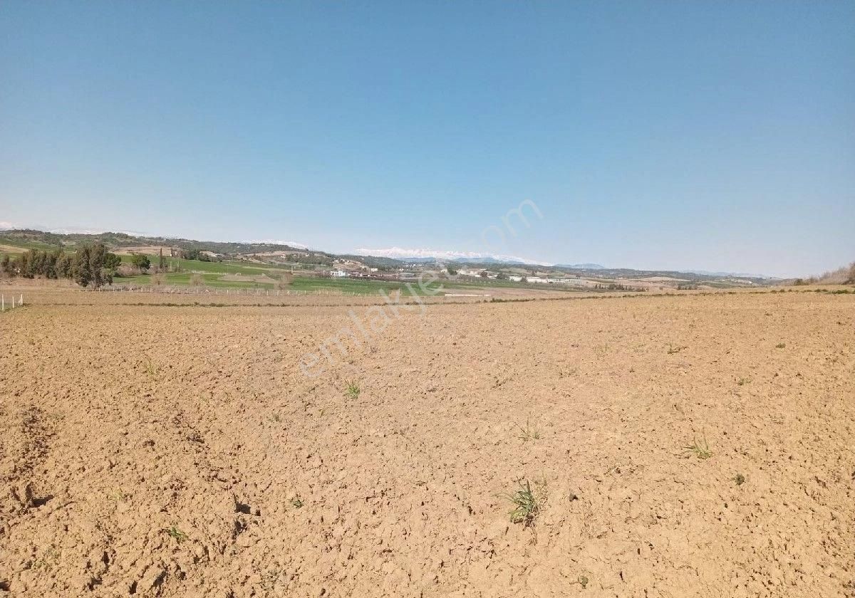 Adana Akkuyu Da Her Bütçeye Uygun Tarlalarimiz Mevcuttur Emlak Komisyonu Yoktur Arazi Bizimdir Kaçır - Görsel 2