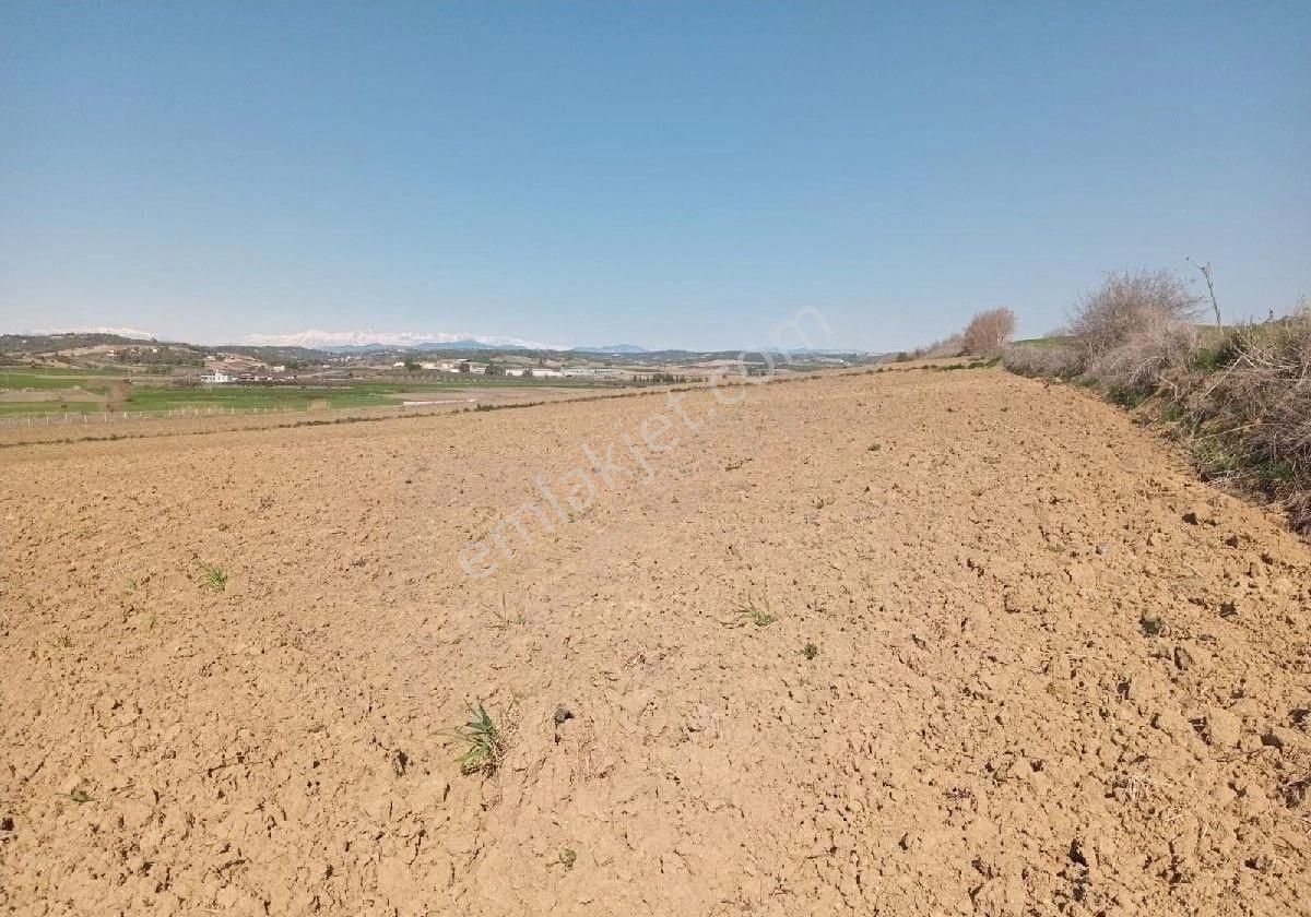 Adana Akkuyu Da Her Bütçeye Uygun Tarlalarimiz Mevcuttur Emlak Komisyonu Yoktur Arazi Bizimdir Kaçır - Görsel 5