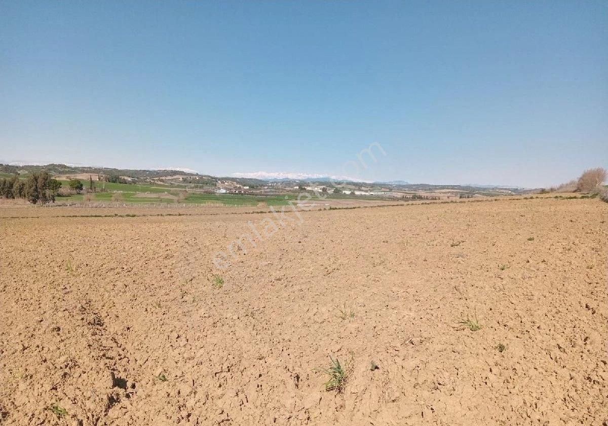 Adana Akkuyu Da Her Bütçeye Uygun Tarlalarimiz Mevcuttur Emlak Komisyonu Yoktur Arazi Bizimdir Kaçır - Görsel 8