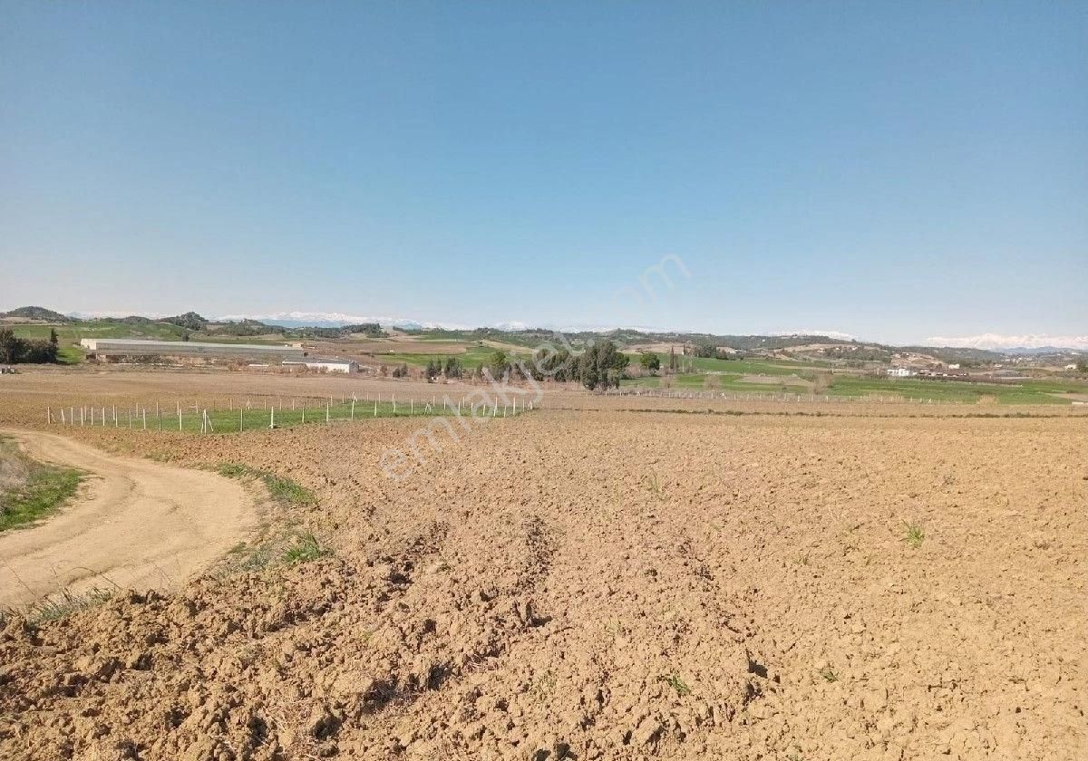 Adana Akkuyu Da Her Bütçeye Uygun Tarlalarimiz Mevcuttur Emlak Komisyonu Yoktur Arazi Bizimdir Kaçır