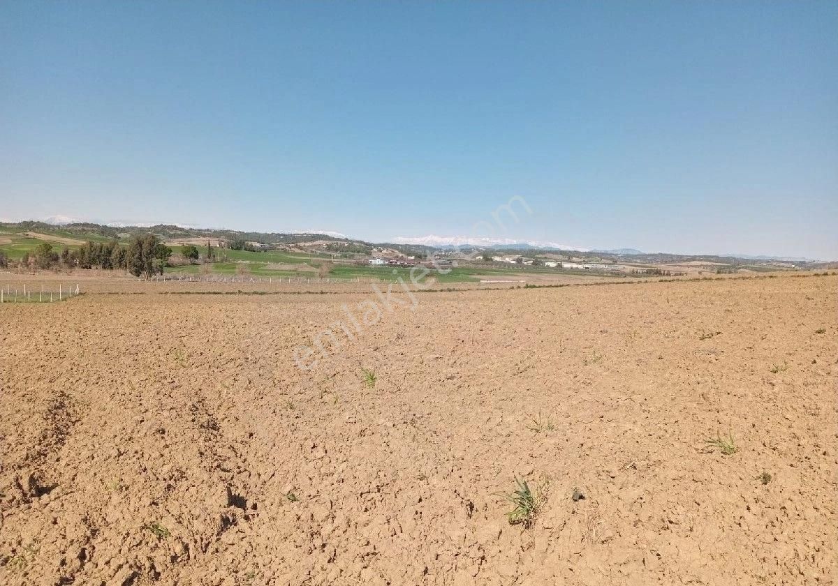 Adana Akkuyu Da Her Bütçeye Uygun Tarlalarimiz Mevcuttur Emlak Komisyonu Yoktur Arazi Bizimdir Kaçır - Görsel 7
