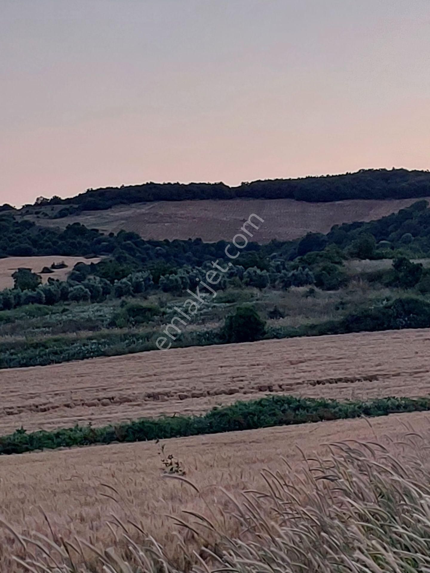 Bursa Karacabey Çamlıcada Anayola Yakın Satılık Yatırımlık 14600m2 Tarla - Görsel 22