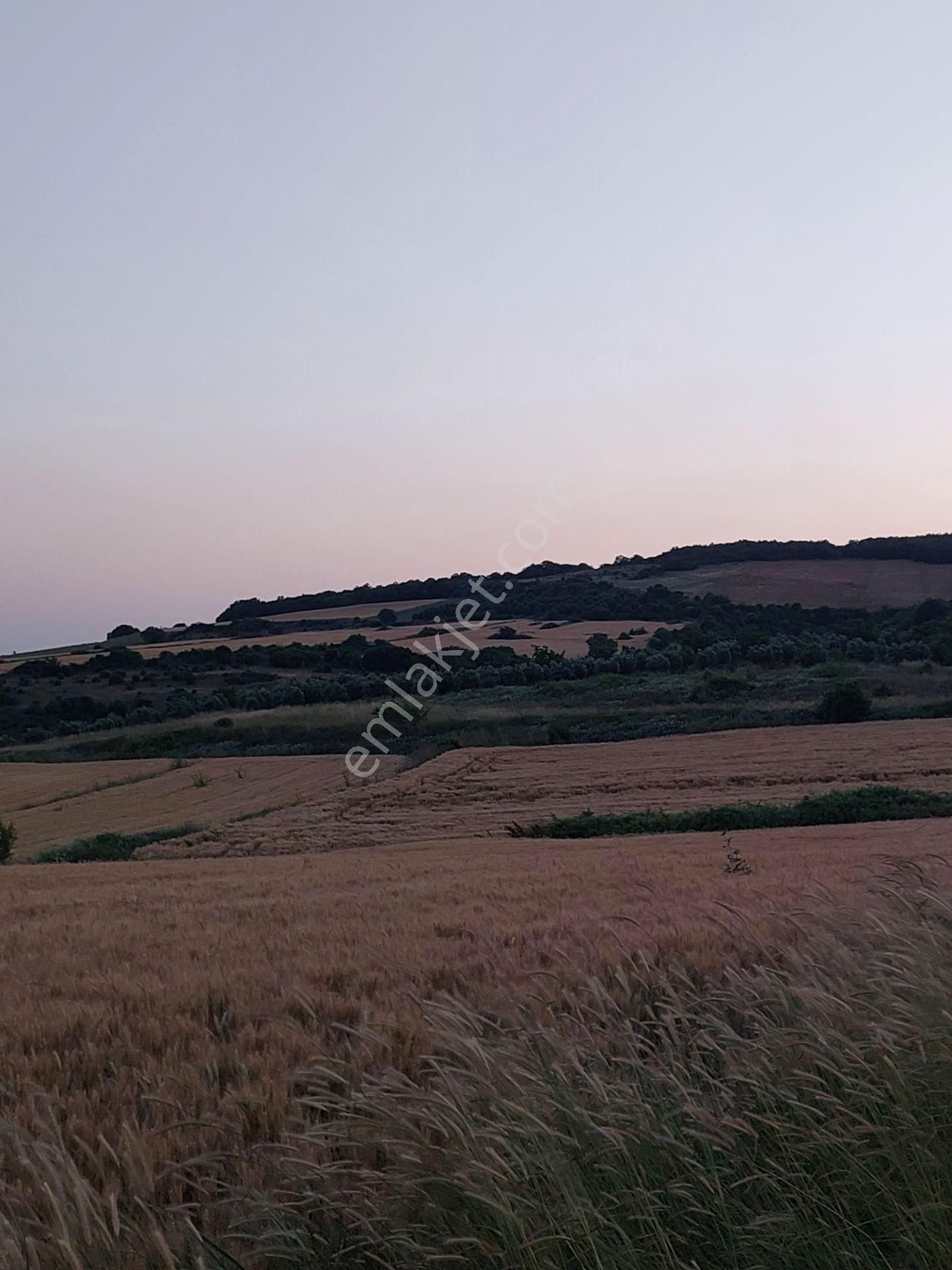 Bursa Karacabey Çamlıcada Anayola Yakın Satılık Yatırımlık 14600m2 Tarla - Görsel 6