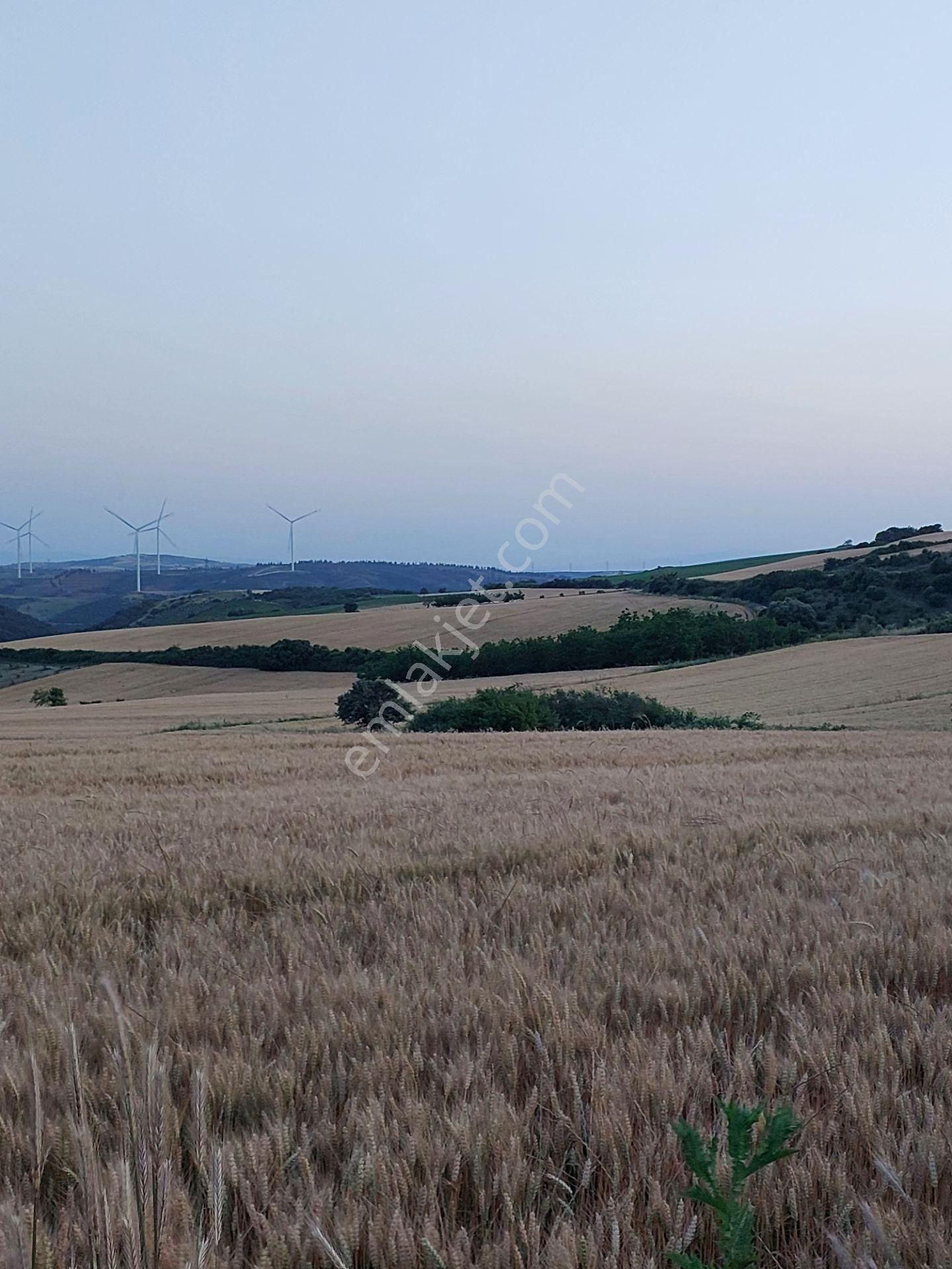 Bursa Karacabey Çamlıcada Anayola Yakın Satılık Yatırımlık 14600m2 Tarla - Görsel 16