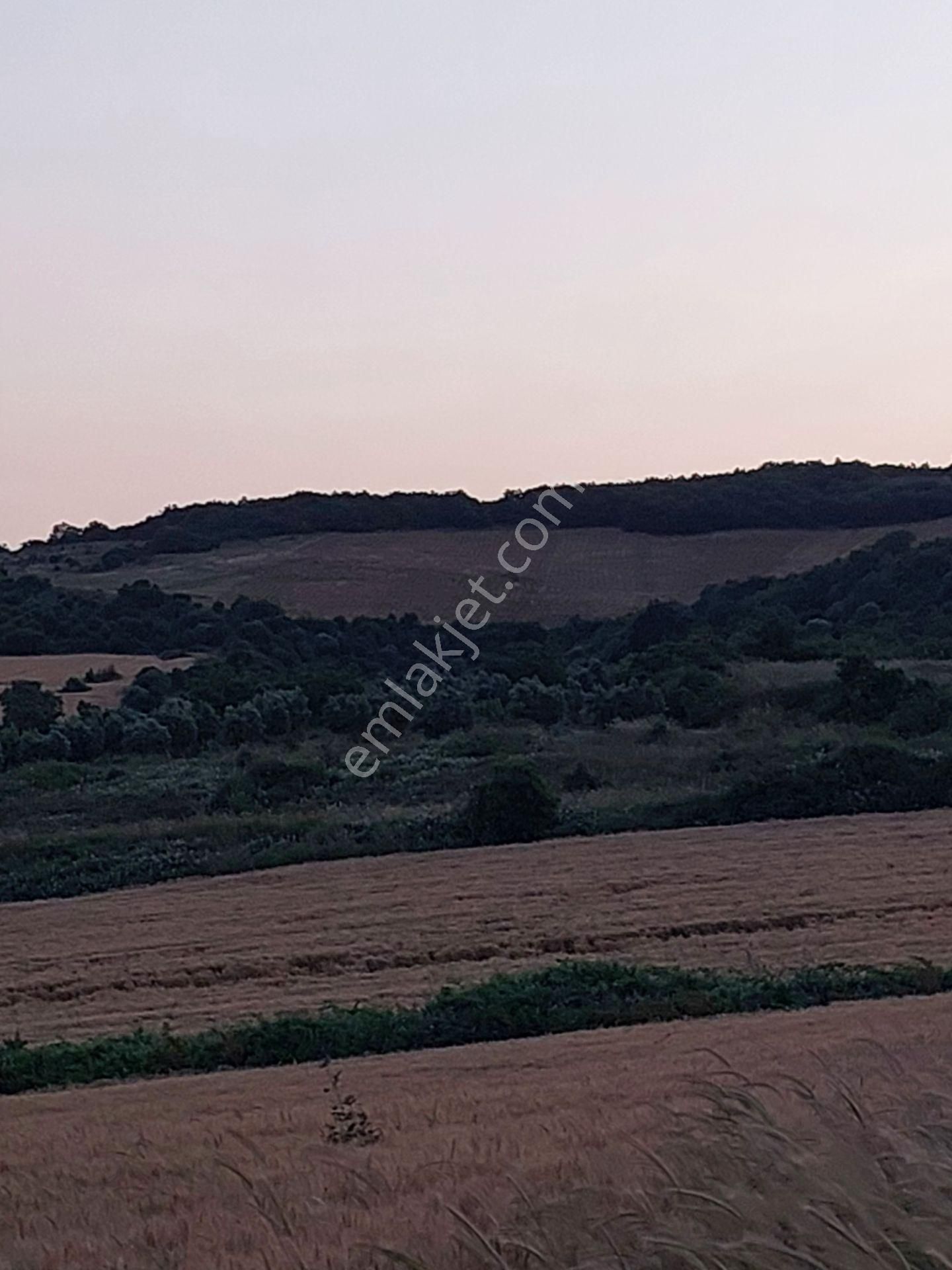 Bursa Karacabey Çamlıcada Anayola Yakın Satılık Yatırımlık 14600m2 Tarla - Görsel 8